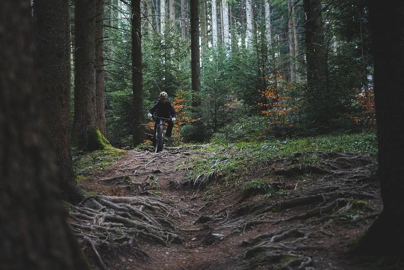 Alexander Rodriguez - Adventure Guru